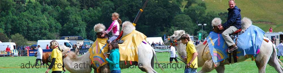 Camel Rides