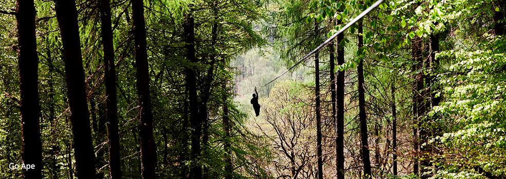 Go Ape