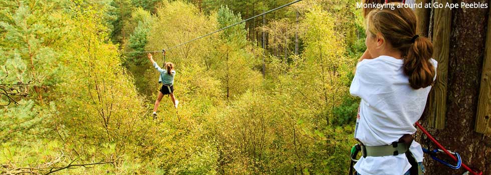 Monkeying around at Go Ape Peebles
