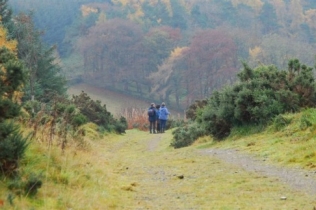 Walking in the Tweed Valley