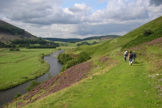 Pikestone Hill Walk