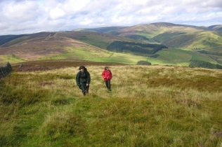 Ridge Walk above Innerleithen