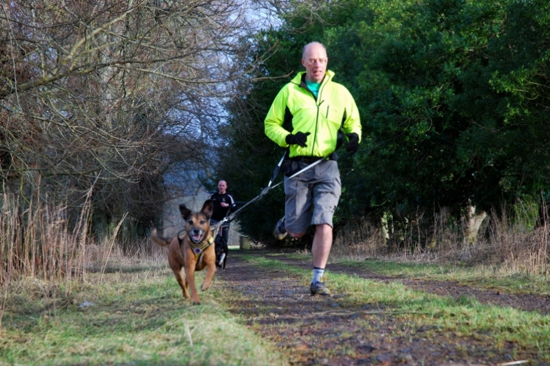Man and dog in perfect sync! Man and dog in perfect sync!