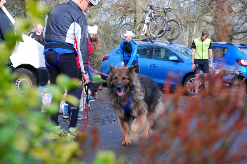 Ready for a run ... Ready for a run ...