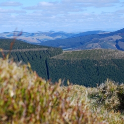 Fine views from the summit of Lee Pen, Innerleithen
