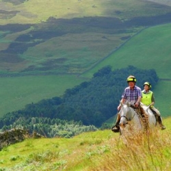 Enjoying the trails, Cademuir Hill 