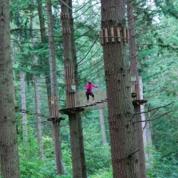 Taking to the trees at Go Ape