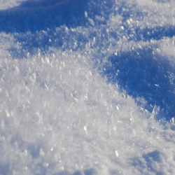 Frosted snow