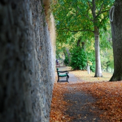 Hay Lodge Park, Peebles