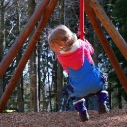 Adventure playground, Bowhill Estate 
