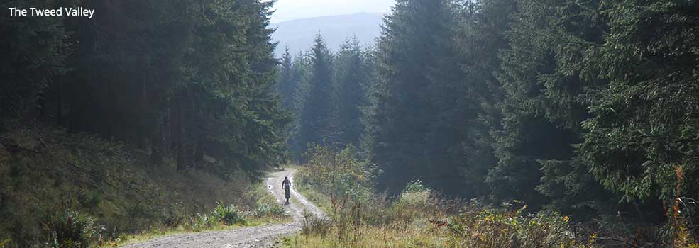 The Tweed Valley
